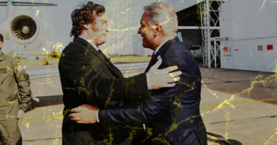 Relaciones casi carnales