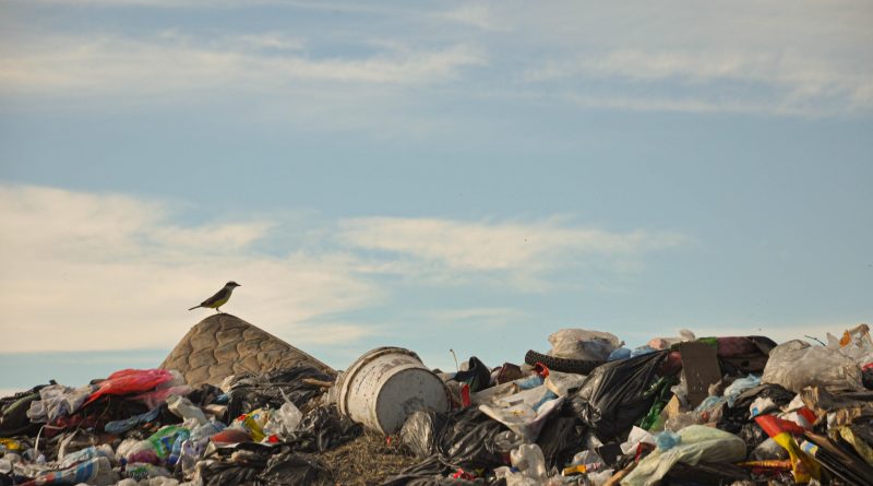 El basural, una cicatriz que no cierra