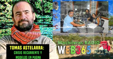 Crisis recurrentes y modelos en pugna