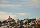 El basural, una cicatriz que no cierra